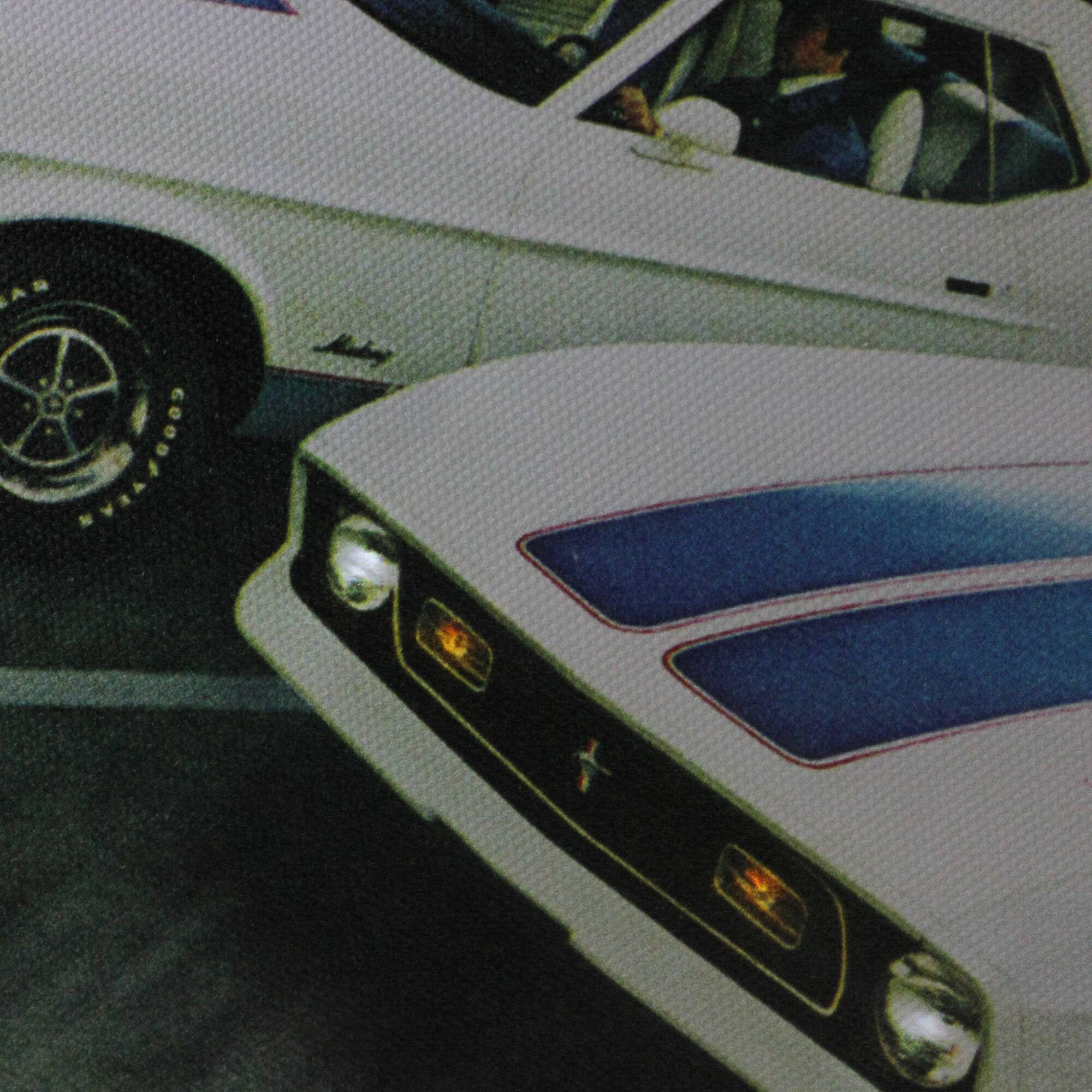 Fiber Optic & LED Ford Mustang Canvas Wall Art